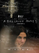 魔兽世界德鲁伊的多种玩法探索